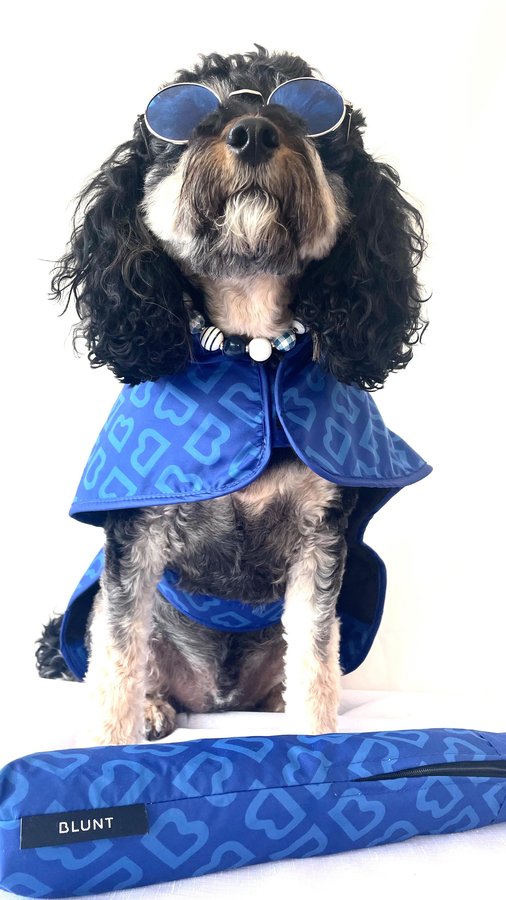 Instagram post by @_diesel_the_cavoodle for BLUNT Umbrellas. Caption reads: [...] - rain coat 🧥 & umbrella 🌂 @bluntumbrellas....