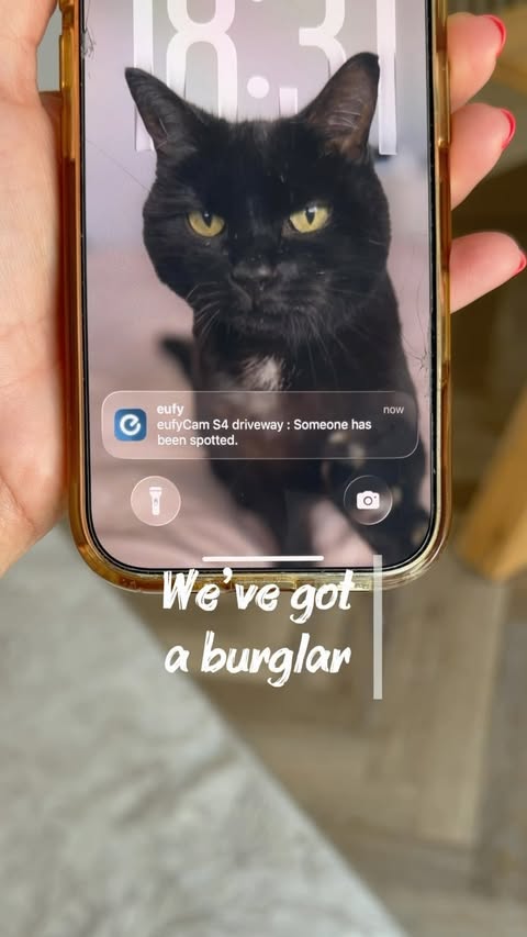 Instagram post by @home_across_the_swale for Eufy. Caption reads: The eufyCam S4 has officially become my new [...].