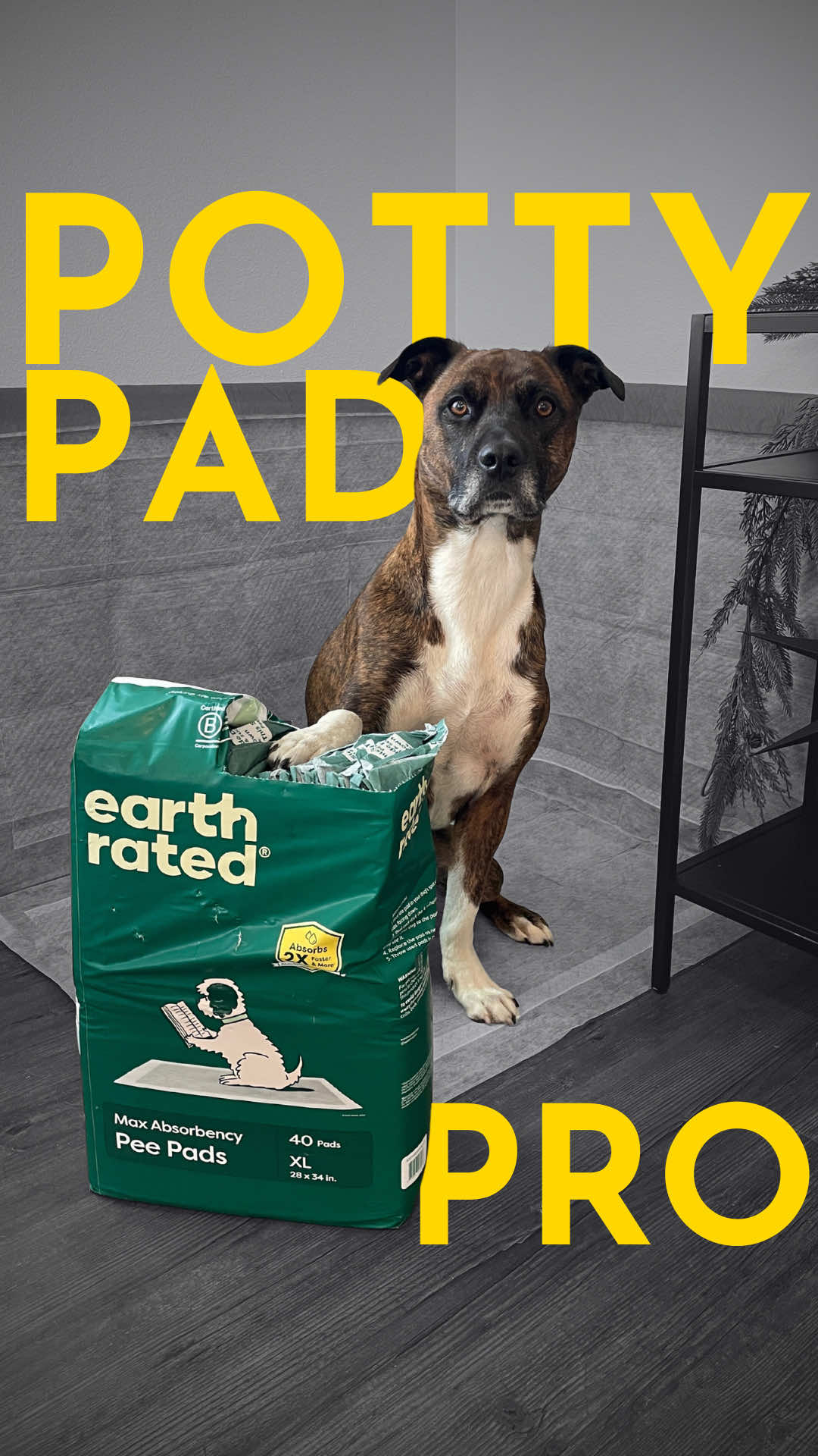 TikTok post by @thepainfreepettrainer for Earth Rated. Caption reads: [...] easy, and satisfying- just like these....