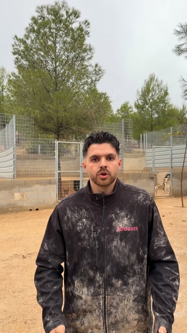 Instagram post by @ecojuanmanuel for Tractive. Caption reads: [...] le hemos tenido que poner el @tractive para....