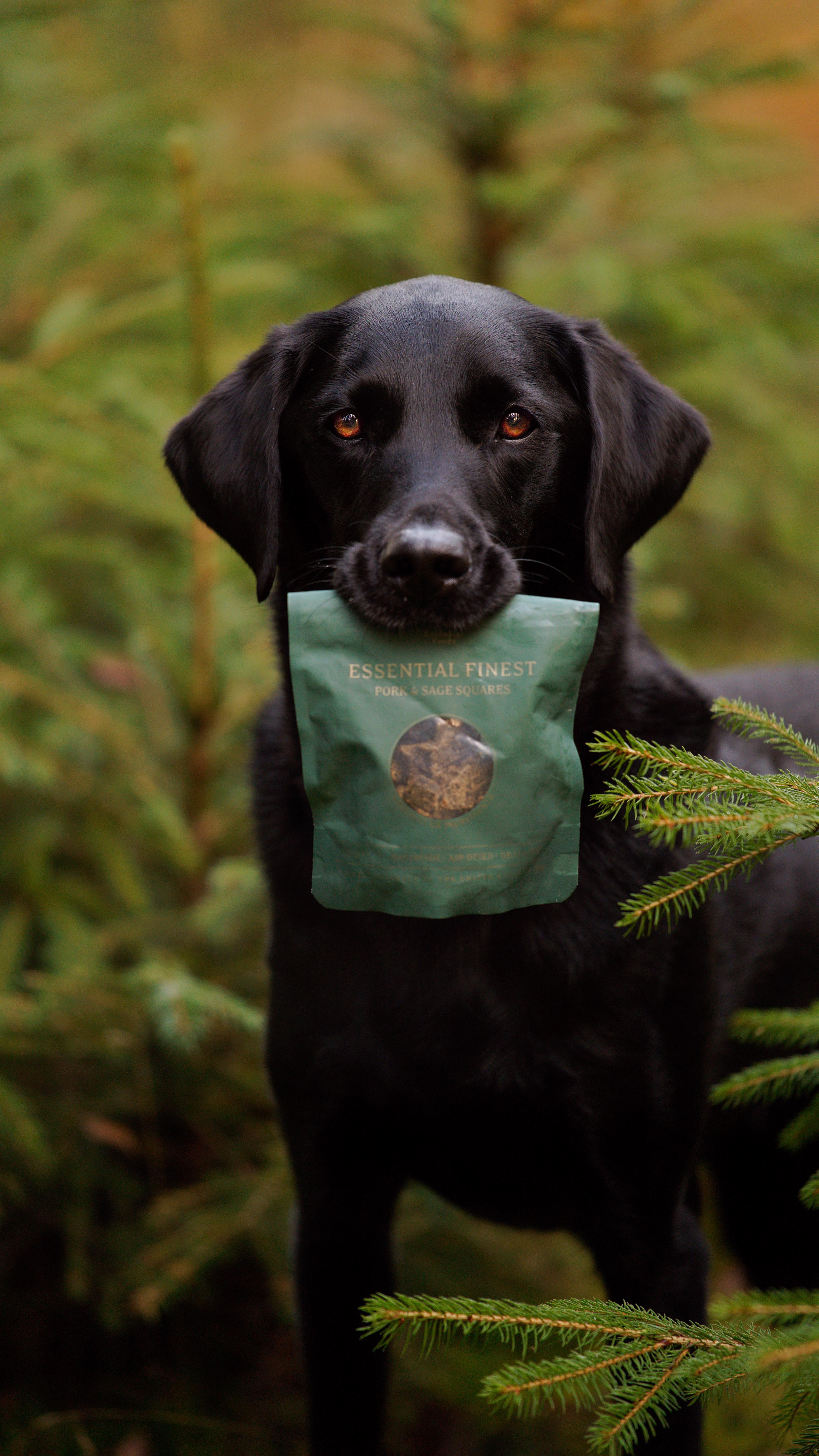 Instagram post by @junior_the_copenhagen_lab for ESSENTIAL FOODS. Caption reads: [...] are always Charlie’s favorites from....