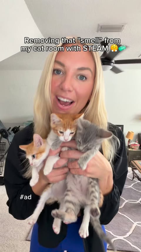 Instagram post by @tfo300 for BISSELL. Caption reads: [...] of that dreaded “cat smell?” ❌🤮 The....