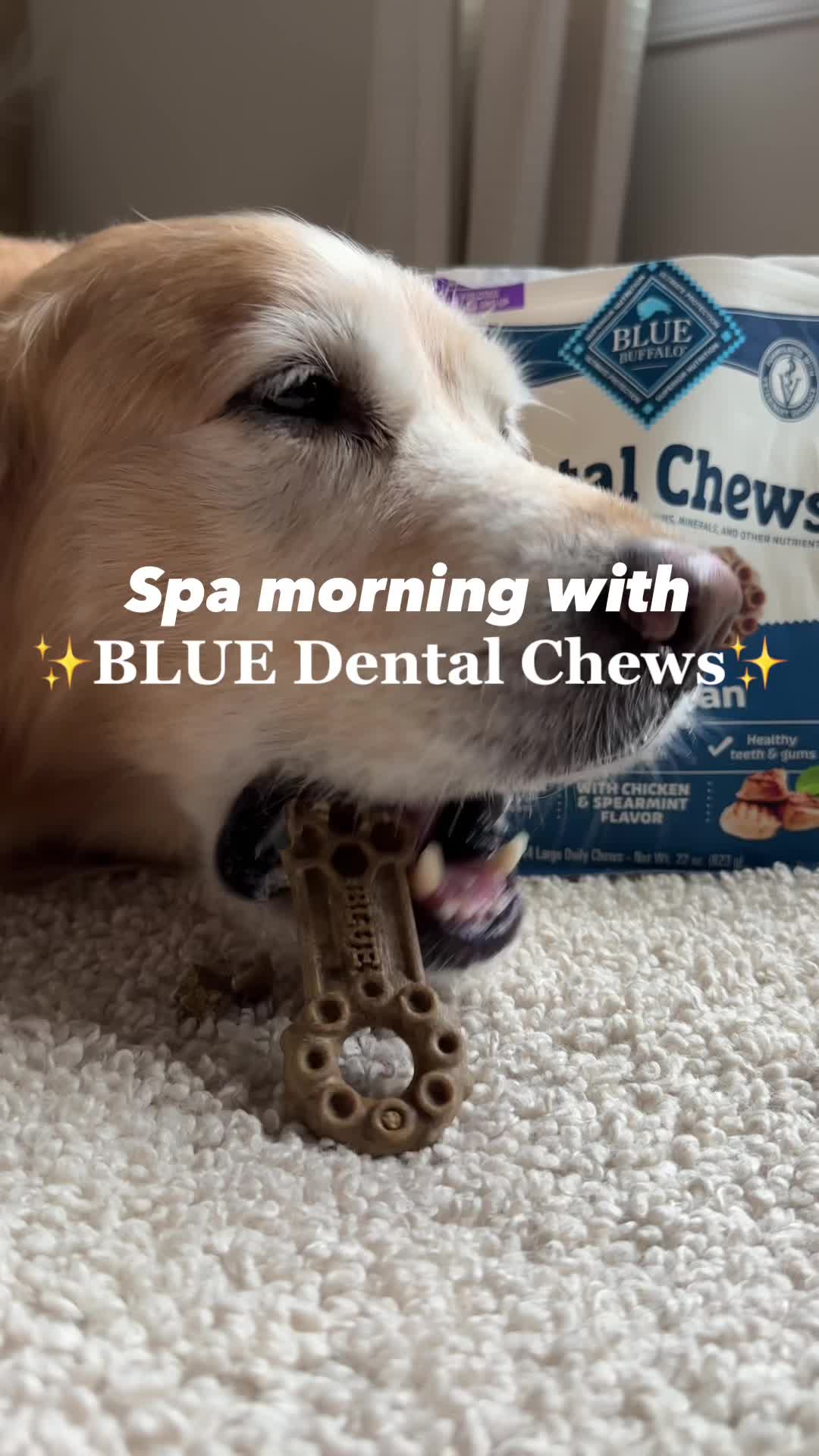 TikTok post by @hdbrosriley for blue buffalo. Caption reads: SPA morning with our BLUE dental chews 🛁 🦷 🐾....