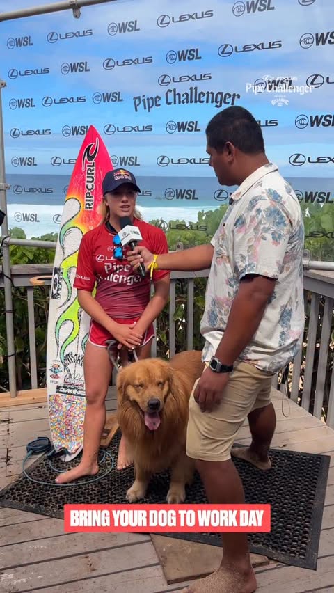 Instagram post by @mitchtales for World Surf League. Caption reads: [...] @lexususa #PipeChallenger LIVE on....