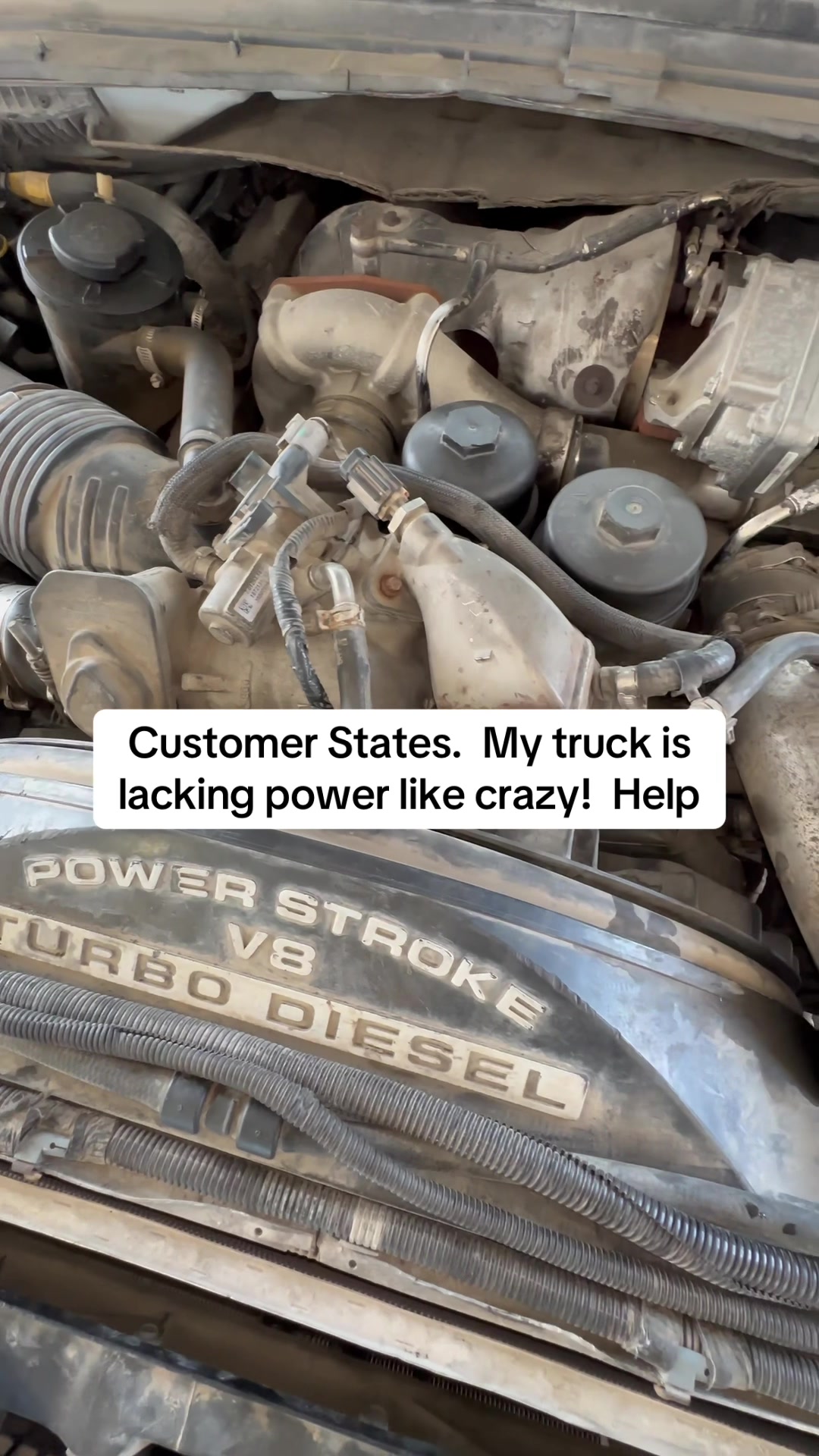 TikTok post by @d.thetruckguy for toolant. Caption reads: [...] #dieseltech #diesel #Customerstates Toolant....