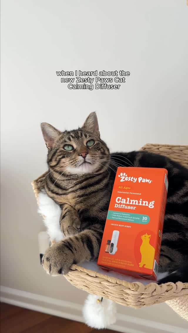 Instagram post by @puggpickles for Zesty Paws. Caption reads: [...] in the air 🧡 

We’ve been trying the....