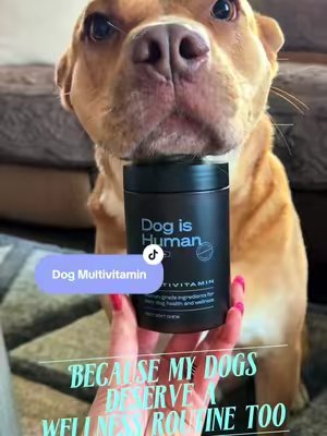 TikTok post by @aldina2024 for Dog Is Human. Caption reads: [...] many years with them as possible 🥹 @Dog is....