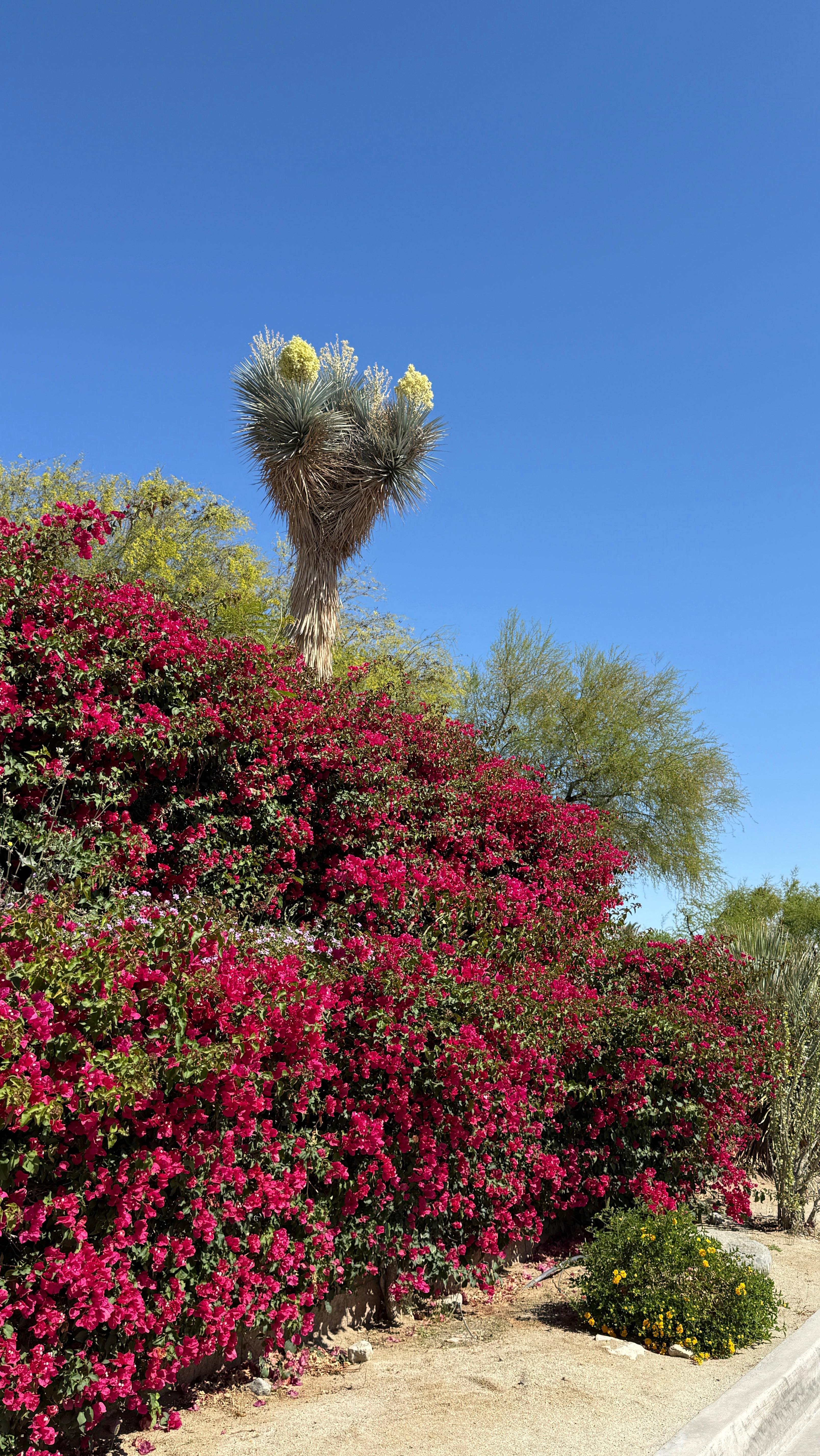 Instagram post by @chloetessmiller for Kitsch. Caption reads: [...] gorg they came out!! using @mykitsch....