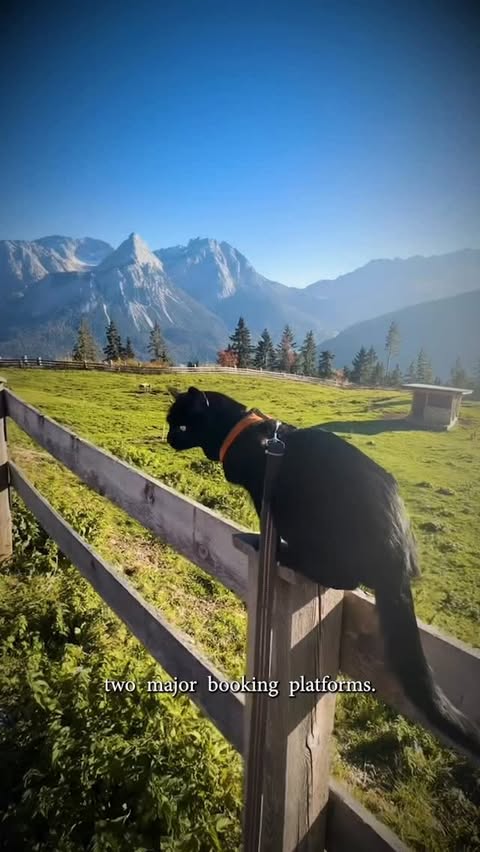 Instagram post by @jjyosh for HotelTonight. Caption reads: #ad Well, here’s the secret — @hoteltonight has....