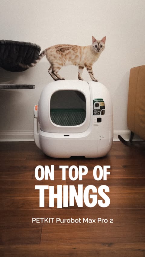 Instagram post by @3tailsup for Petkit. Caption reads: We’ve been on the hunt for a litter box that....