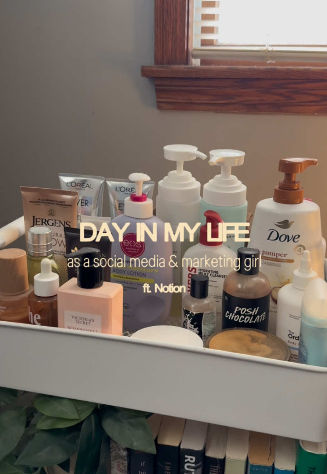 TikTok post by @lexiomorgan for Notion. Caption reads: @Notion ty for keeping me organized 🤍 [...].