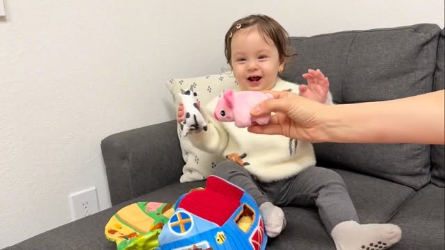 Instagram post by @herafery.gasimova for Hahaland. Caption reads: [...] lovely companion for play and sleep.....