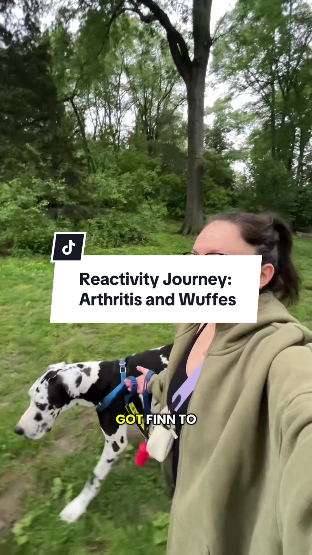 TikTok post by @finnthebigman for Wuffes. Caption reads: [...] was making sure Finn wasn’t in pain @Wuffes....