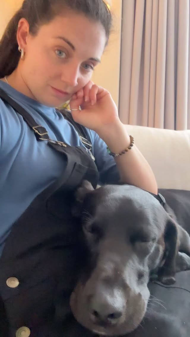 Instagram post by @shnootle.hound for Beco Pets. Caption reads: He’s ready @1hotel.mayfair @beco_pets 🥹....