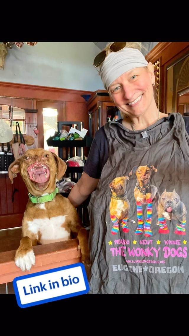 Instagram post by @wonkydogspack for Bonfire. Caption reads: [...] had any merchandise so I started a campaign....