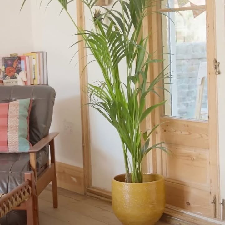 Instagram post by @africadaleyclarke for House Beautiful. Caption reads: From room to room, soft, sun-faded colours and....