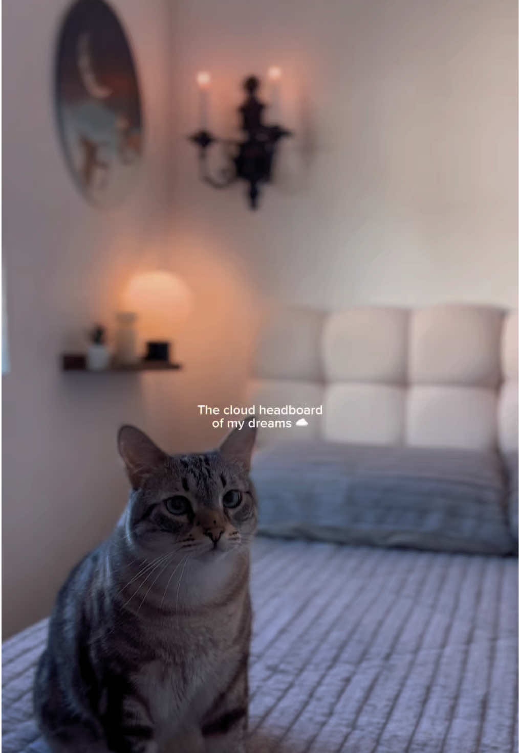 TikTok post by @giselle_natalin for Pinmoco. Caption reads: [...] custom without drilling a single hole.....