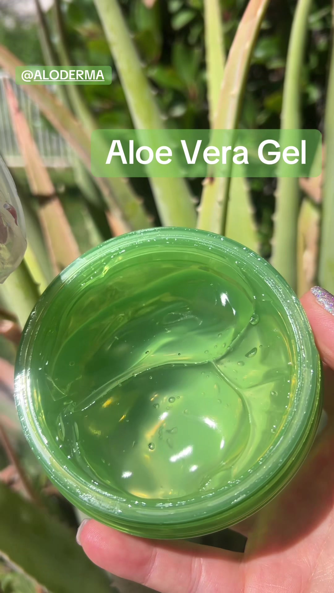 TikTok post by @mollyyy_555 for ALODERMA. Caption reads: @ALODERMA #skincare #aloe #aloevera #skin [...].