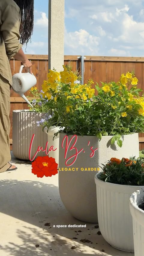Instagram post by @botanicallybe for Miracle-Gro. Caption reads: [...] it. i want that for myself too. #ad....