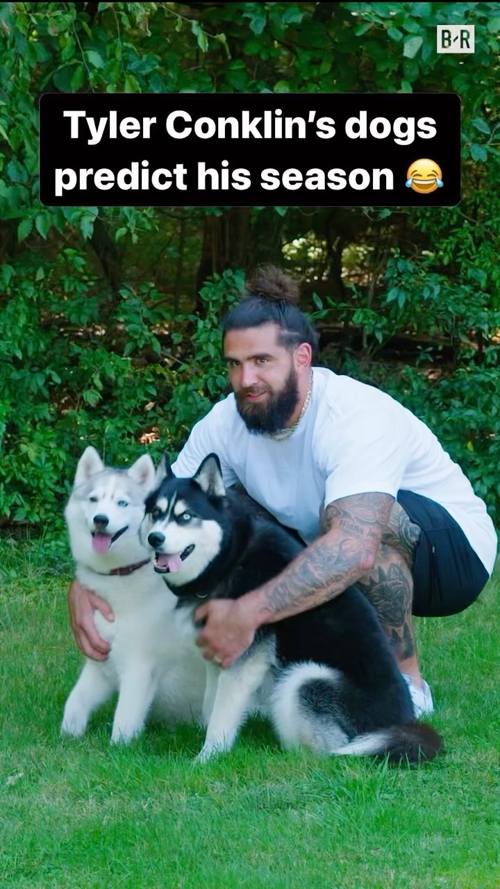 Instagram post by @brgridiron for blue buffalo. Caption reads: Jets TE’s dogs predict their win total for the....