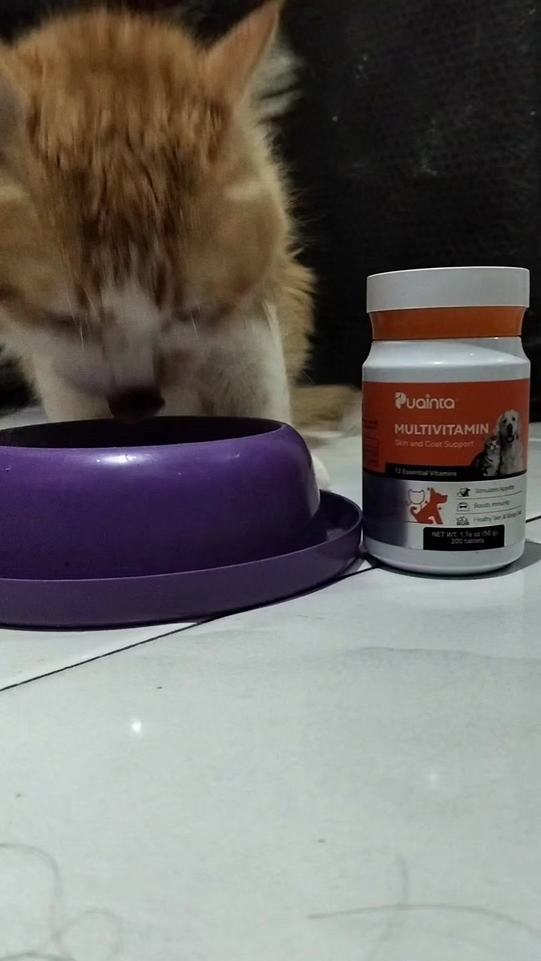 TikTok post by @aziz_ilham1 for Puainta. Caption reads: PUAINTA Vitamin Bulu Lebat Anti Rontok Suplemen....