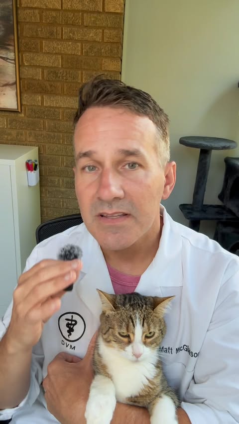 Instagram post by @dr.mattmcglasson for Fera Pets. Caption reads: [...] fish oil makes a huge difference. Fera Pets....