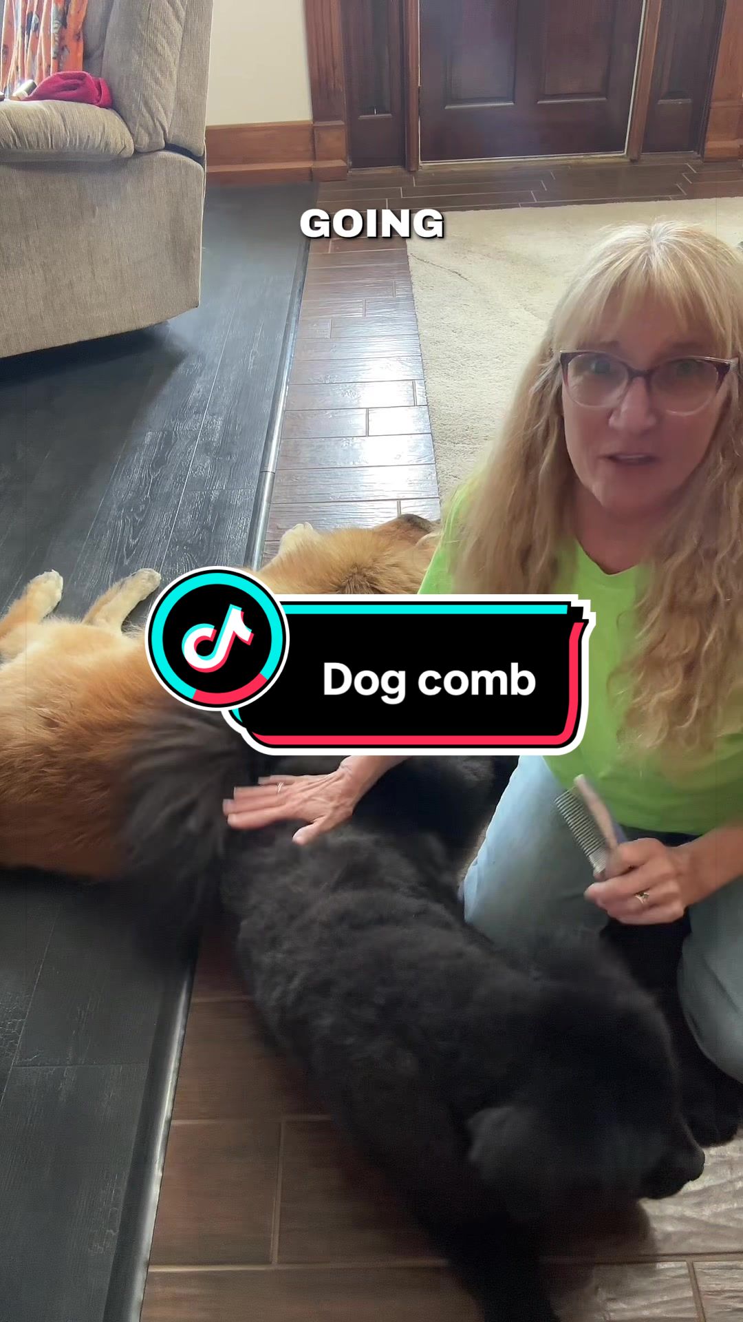 TikTok post by @familyfriendsdogmom for We Love Doodles. Caption reads: [...] #dogcare #dogs #dogsoftiktok @WeLoveDoodles_.
