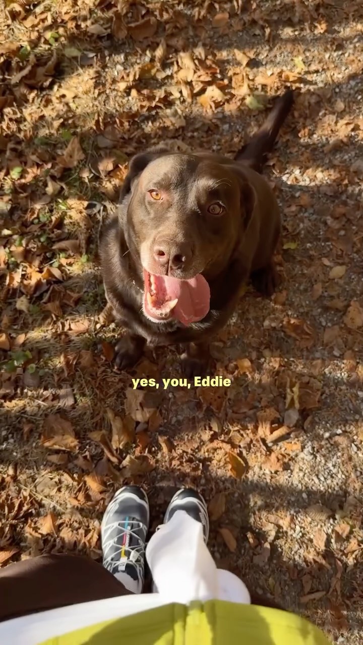 Instagram post by @katharina.spielmann for BIOTHERM. Caption reads: Ad l The vet said Eddie could lose a few kilos, so....