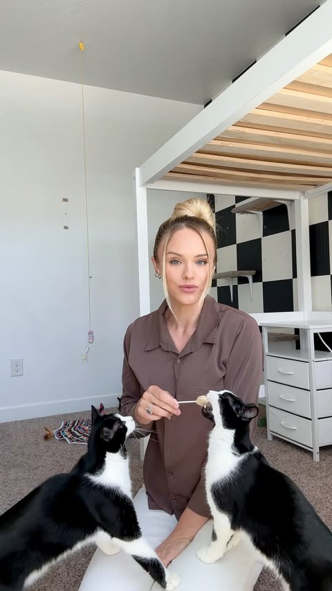 Instagram post by @catxyapper for PETLIBRO. Caption reads: #ad Partnering with @petlibro to help me keep....