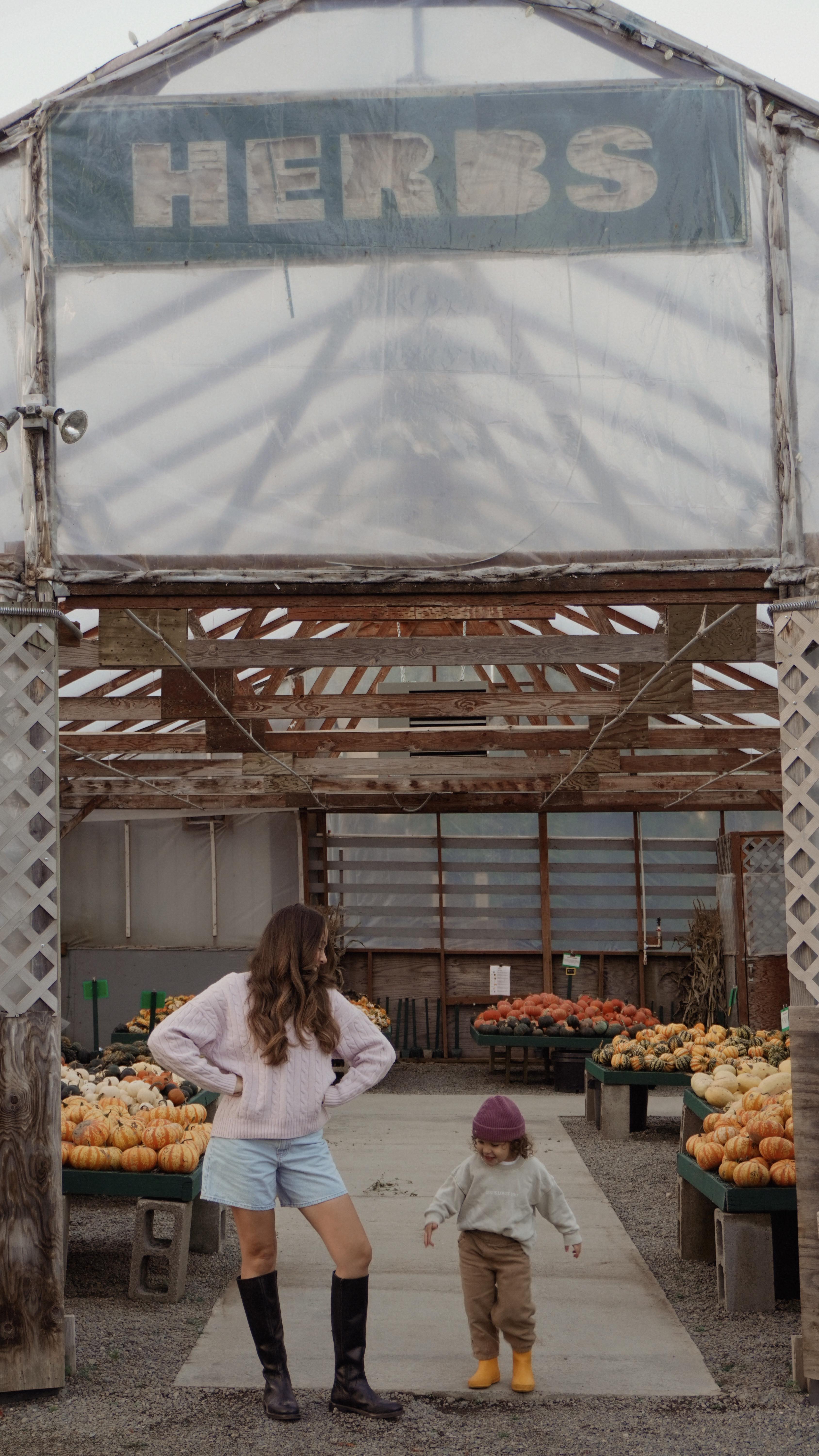 Instagram post by @alinakom for Fred Meyer. Caption reads: [...] to grab everything you need from....