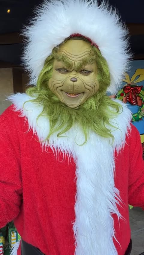 Instagram post by @itschristianeverywhere for Universal Studios Hollywood. Caption reads: The Grinch Himself! 💚🧅.