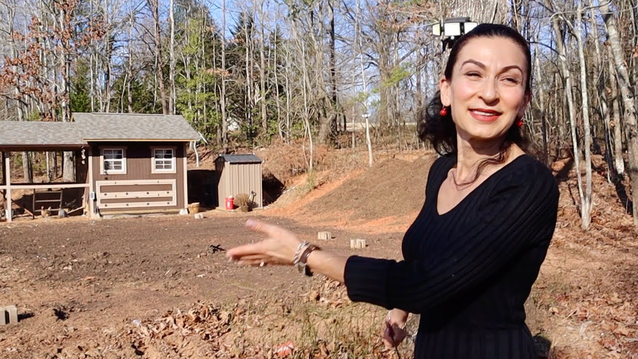 YouTube post by @Heghineh1 for Temu. Caption reads: New Project in Our Backyard | Temu Haul | Heghineh.