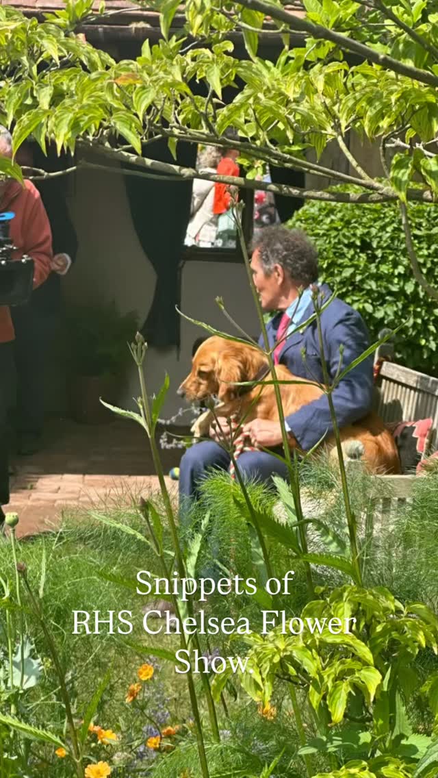 Instagram post by @pandora.maxton for Orla Kiely. Caption reads: Press day - What a wonderful day at RHS Chelsea....