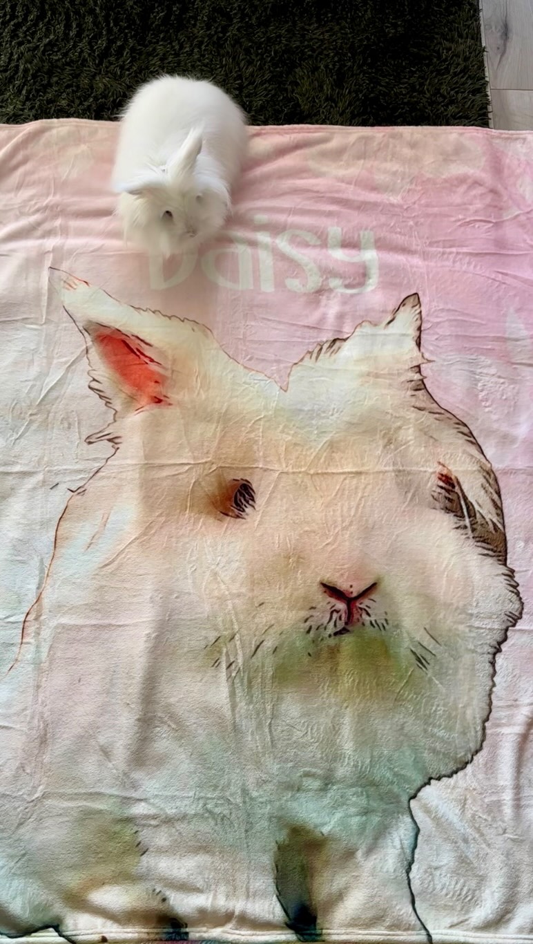 Instagram post by @daisydisclosed for Pupring. Caption reads: It’s another beautiful day to be me because I have....