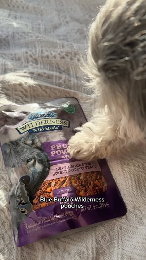 Instagram post by @minihersheybark for Blue Buffalo. Caption reads: [...] more adventures with my best friend.....