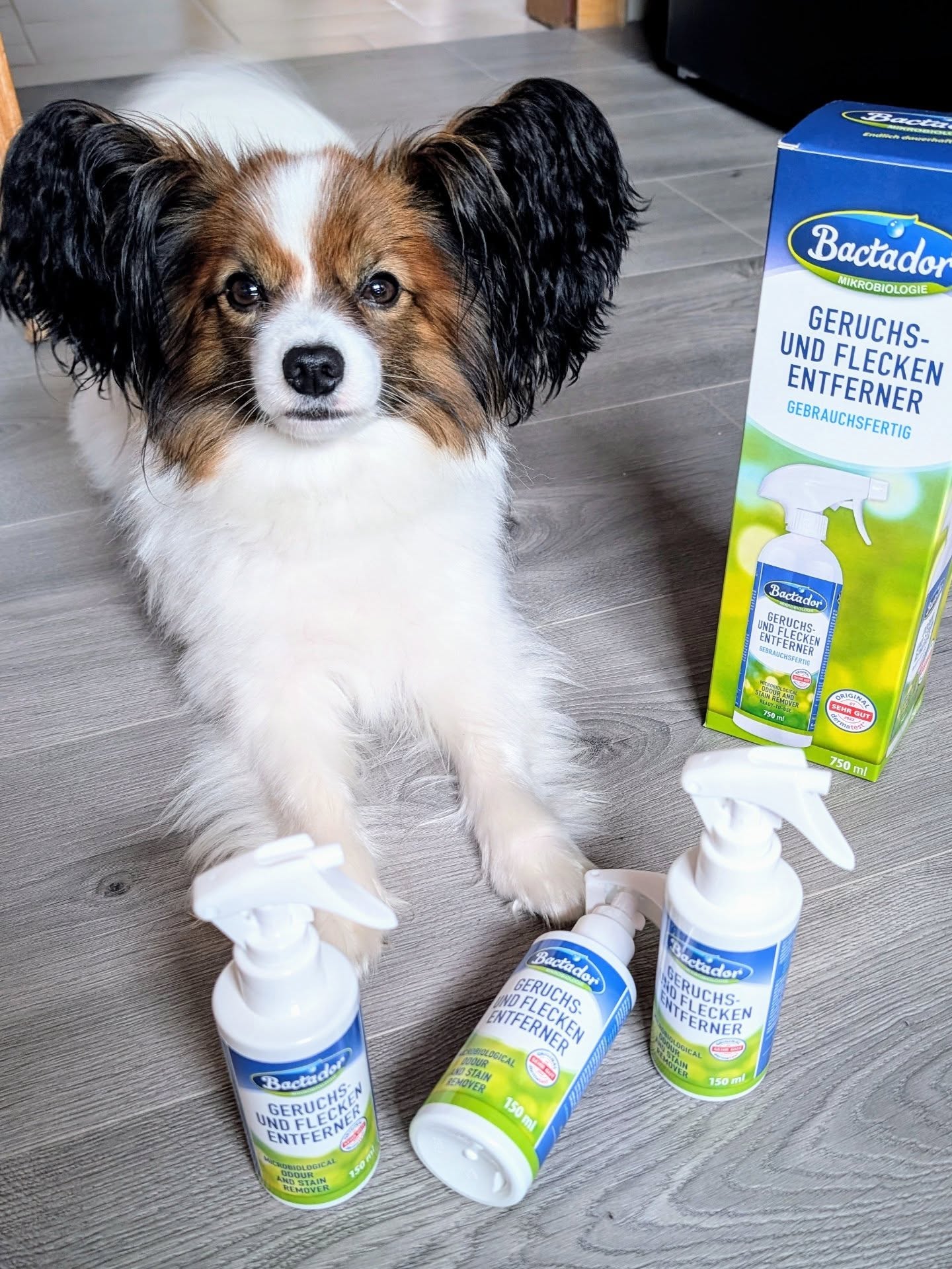 Instagram post by @shopping_mom87_testet for Konsumgoettinnen. Caption reads: 🛍️Bactador - Geruchs- und Fleckenentferner Spray....