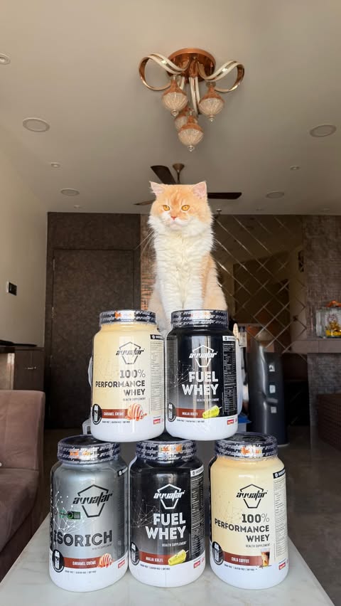 Instagram post by @_viniee_ for Avvatar Sports Nutrition. Caption reads: I was just trying to hit 120g a day 🥲 Code -....