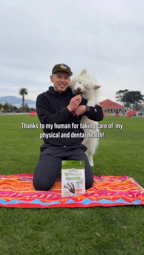 Instagram post by @coconutricebear for Wellness Pet Food. Caption reads: [...] Month, and WHIMZEES Brushzees by....