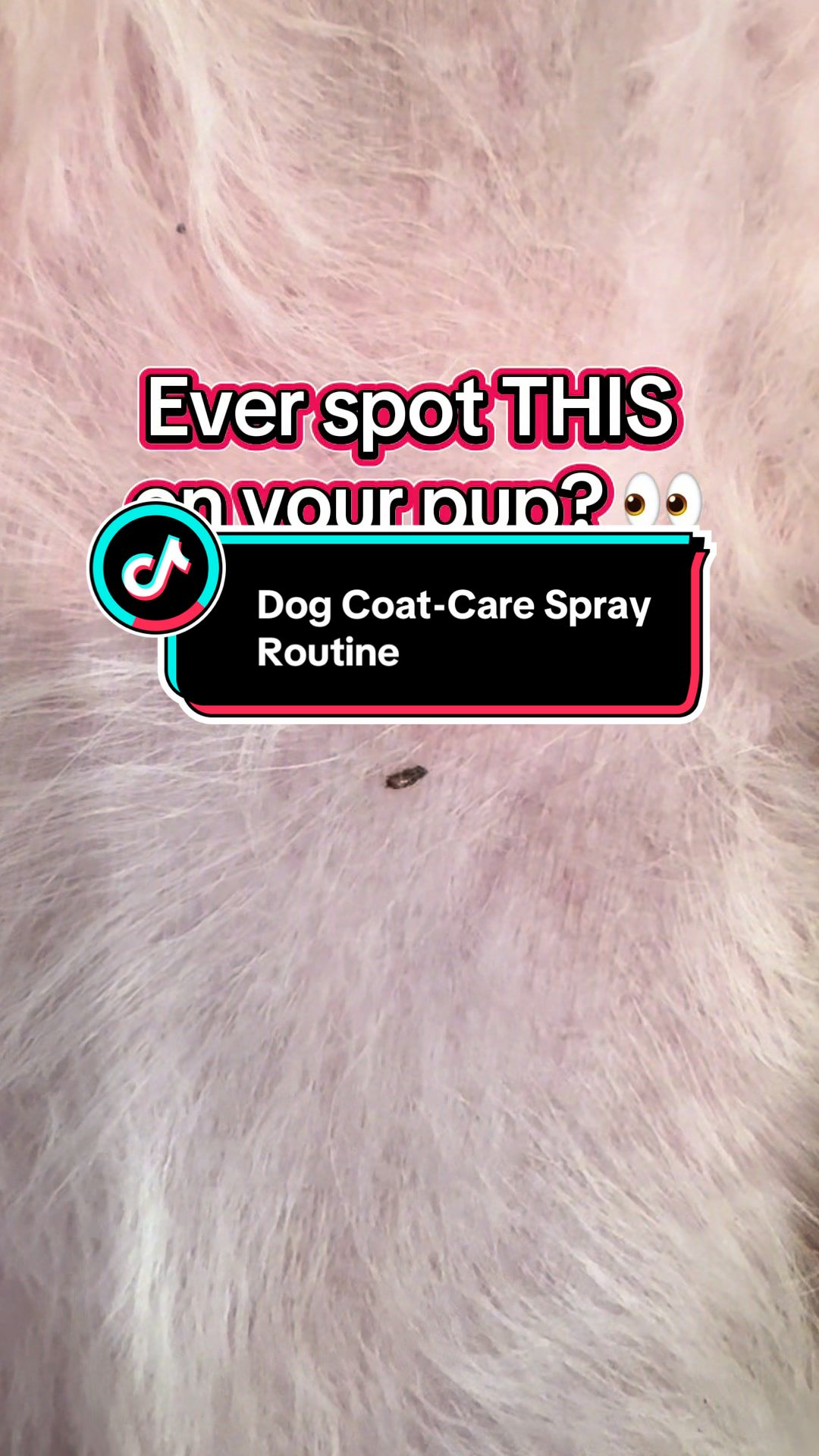 TikTok post by @beachbumlife3 for Zesty Paws. Caption reads: Dog parents… this is part of our gentle coat-care....