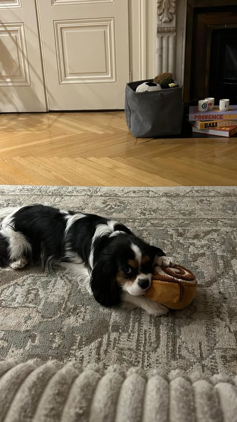 Instagram post by @nxapic for collAble. Caption reads: [...] one would you choose first?....