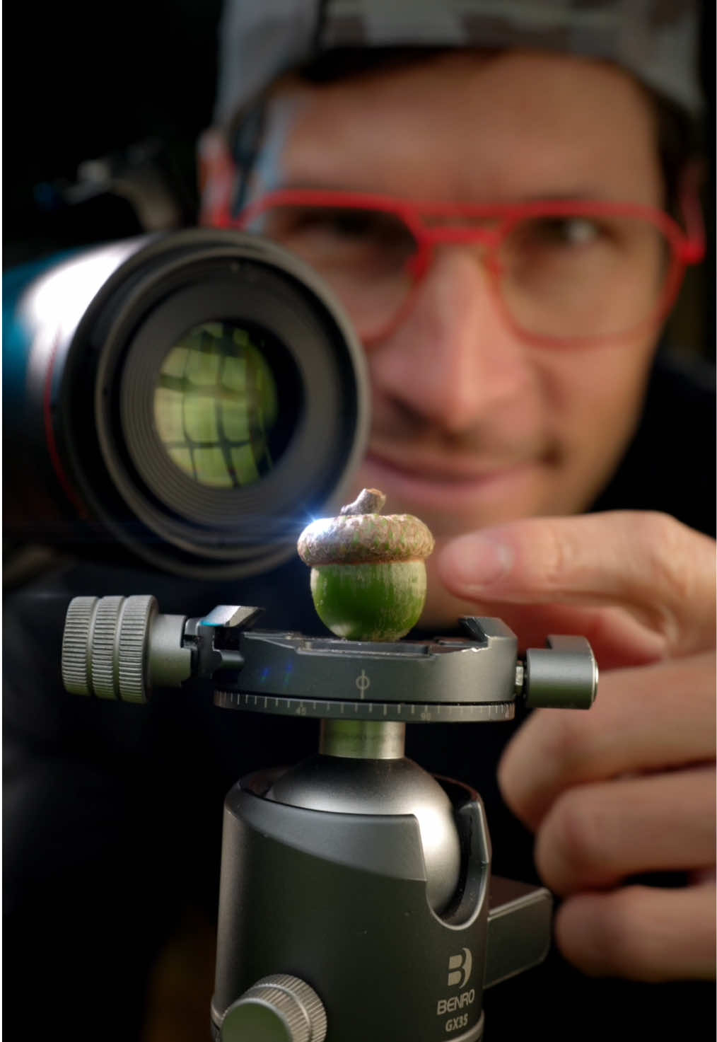 TikTok post by @danielaucoinfineart for amaran. Caption reads: An acorn + a spiderweb + 3 lights = this macro....