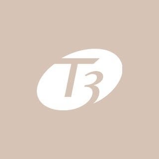 T3 Micro