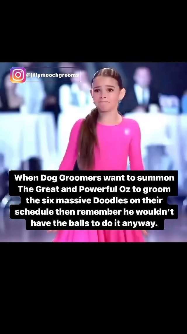 Instagram post by @jillymoochgrooms for OPAWZ. Caption reads: Faint of heart beware💪🏼⬇️ Pet groomers are the....
