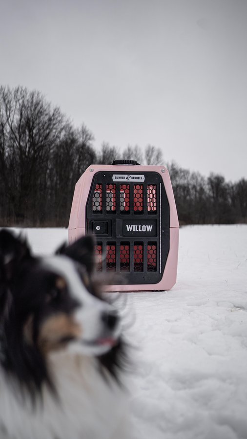 Instagram post by @will_and_mill for Gunner. Caption reads: [...] of your dog restrain them in the car....