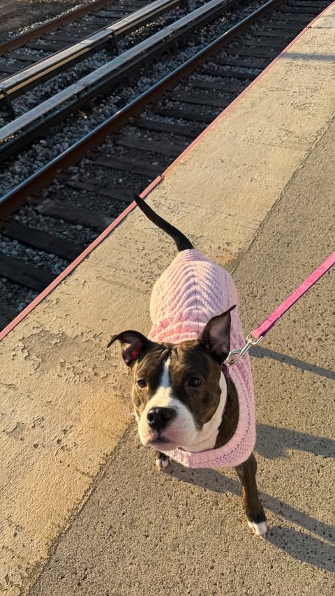 Instagram post by @erikaholguinn for Bloom Nutrition. Caption reads: New couch, new rug and a beautiful new coffee....