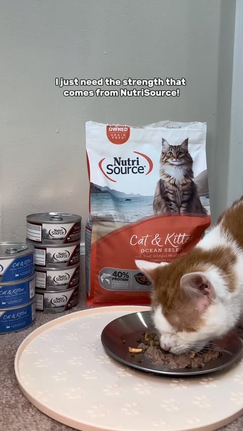 Instagram post by @tinytillytails for NutriSource Pet Foods. Caption reads: [...] their bowls. We’ve been using....