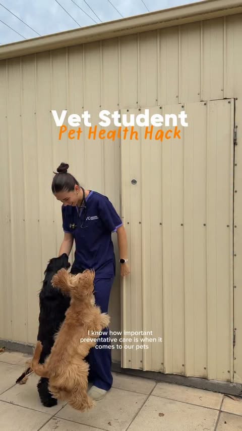 Instagram post by @herbertandclover for Zesty Paws. Caption reads: [...] daily routine 🤍 We’ve been using the....