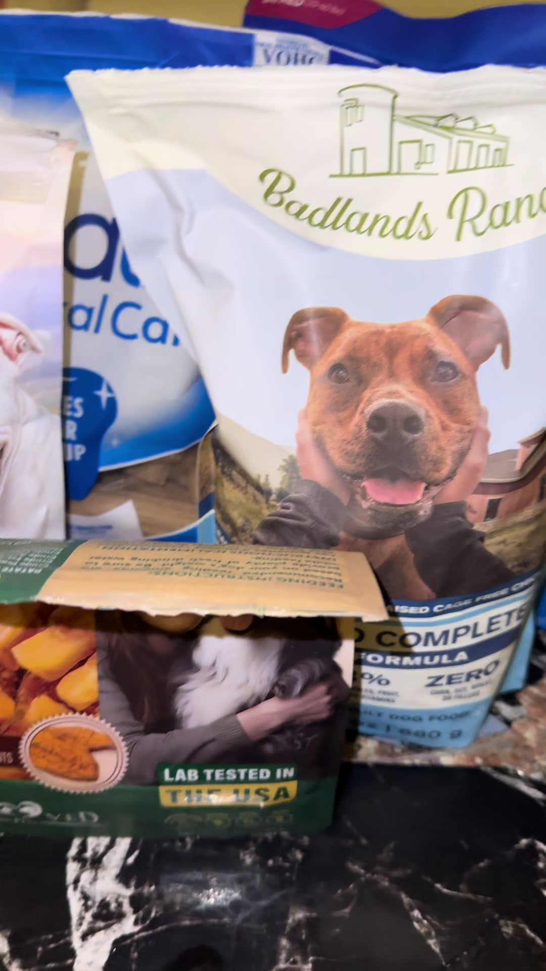 TikTok post by @melissar38_ for Beloved Pets. Caption reads: @Beloved Pets #tiktokshopsummerturnup .