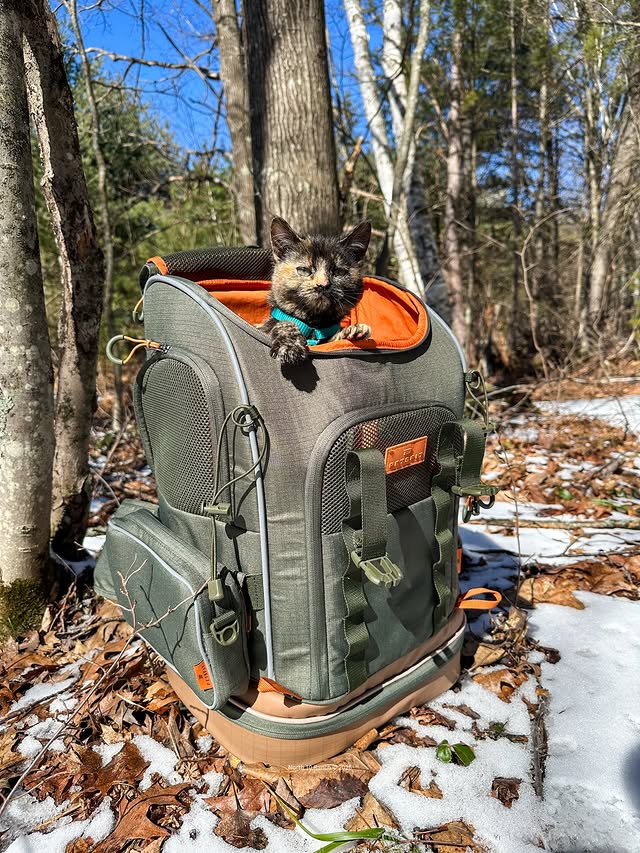 Instagram post by @north10ranch for Petsfit. Caption reads: [...] test out the new Wildpath backpack from....