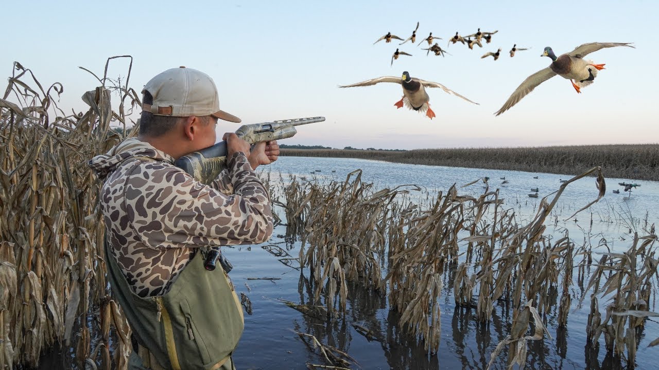 YouTube post by @MinnDakOutdoors for Alclair Audio. Caption reads: EPIC Flooded Corn Duck Hunting! (CATCH CLEAN COOK).